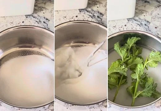 Prepare the Mint Simple Syrup