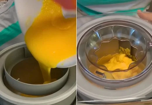 Churn the Sorbet