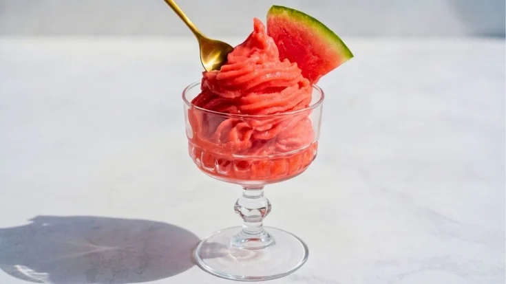 Cuisinart Watermelon Sorbet Recipe