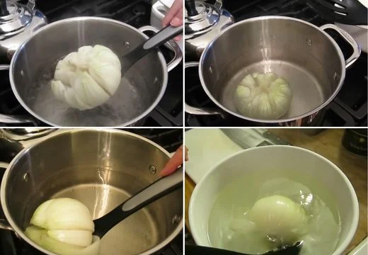 Open the Onion Petals